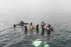 b9848fc1-1046-495c-8529-da2d85d2a43f