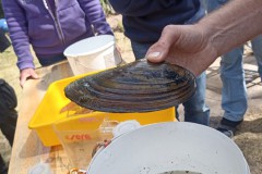 TCV_Umwelttreffen_2025_002