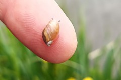 TCV_Umwelttreffen_2025_004