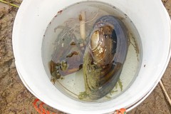 TCV_Umwelttreffen_2025_005