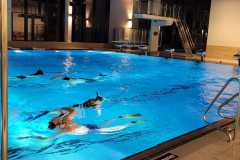 TCV_Weihnachtstraining_2022_14